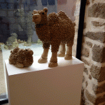 _IMG_1769.gif